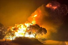 Nỗ lực ngăn chặn đám cháy rừng ở bang Victoria