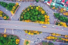 Đường phố Hà Nội lãng mạn mùa cây bàng thay lá