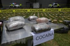 Queensland: AFP phối hợp Bưu điện Úc thu giữ hơn 547kg ma túy