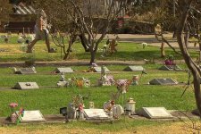 Altona North: Truy nã thủ phạm trộm 80 tấm bia tưởng niệm ở nghĩa trang