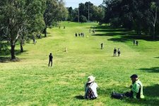 Victoria: Cung cấp thêm không gian mở rợp bóng cây xanh tại ba công viên mới