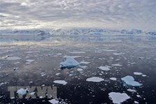 Băng Nam Cực tan nhanh tác động xấu đối với khí hậu toàn cầu