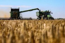 Hủy các lô hàng lớn từ Mỹ và Australia, Trung Quốc làm 'rung chuyển' thị trường lúa mì