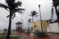 Mexico: Ít nhất 11 người thiệt mạng vì bão Agatha