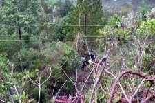 Ấn Độ: Ôtô lao xuống hẻm núi, ít nhất 26 người thiệt mạng