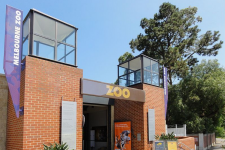 Victoria: Miễn phí vé vào sở thú cho trẻ em