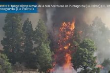 Cháy rừng mất kiểm soát trên đảo La Palma, Tây Ban Nha