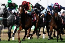 Victoria: Hỗ trợ các nghiên cứu để giúp các cuộc đua ngựa thuần chủng an toàn hơn