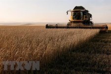 Nga muốn phương Tây tạo điều kiện xuất khẩu lương thực