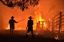 Nắng nóng làm cháy rừng lan rộng tại Úc