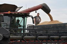 Ukraine xuất khẩu 1,3 triệu tấn nông sản bất chấp những quan ngại về vấn đề an ninh