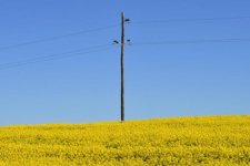 Tin Úc: Nông nghiệp bền vững là chìa khóa then chốt đối với người tiêu dùng