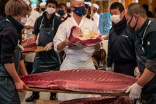 Nhật Bản: Con cá ngừ giá khủng đầu năm