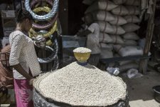 FAO: Giá lương thực trên thế giới đạt mức cao nhất trong mười năm