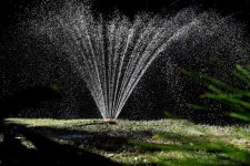 Victoria: Sử dụng nước thải đã qua xử lý để tưới cây ở Vườn Bách thảo Hoàng gia Cranbourne