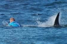 Các tai nạn liên tiếp do cá mập tấn công hủy hoại danh tiếng của New Caledonia