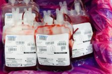 Tin Úc: Úc kêu gọi người dân hiến máu khẩn cấp trước lễ Phục sinh