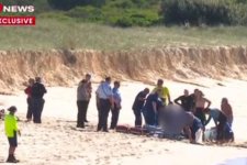 Sydney: Cá mập tấn công, người đàn ông lướt ván tử vong