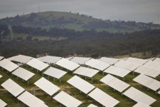 Tin Úc: Úc hướng đến thúc đẩy khẩn cấp trong ngắn hạn đối với xuất khẩu than