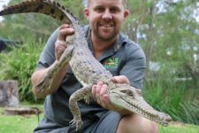 NSW: Cá sấu nước ngọt dài 1 mét được tìm thấy ở sân sau một ngôi nhà