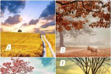 Trắc nghiệm tâm lý: Trực giác mách bảo bạn chọn bức tranh nào?