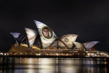 Lễ hội ánh sáng Vivid Sydney tại NSW