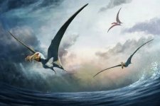 Queensland: Phát hiện hóa thạch loài thằn lằn bay mới có tuổi đời khoảng 100 triệu năm
