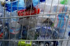 Tin Úc: Lệnh cấm xuất khẩu nhựa hỗn hợp chính thức có hiệu lực