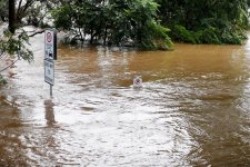 Sydney: Hàng ngàn người phải sơ tán do mưa lũ