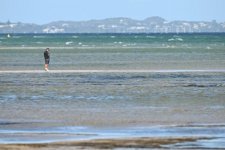 Victoria: Bảo vệ môi trường biển và ven biển của vịnh Port Phillip