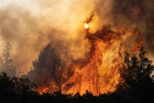 Italy, Hy Lạp chật vật ứng phó cháy rừng