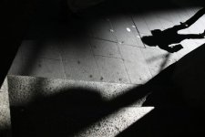 Tin Úc: Các vụ tấn công tình dục được báo cáo ở mức cao nhất trong 31 năm qua