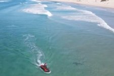 Queensland: Cá mập điên cuồng tấn công xe mô tô nước trên biển