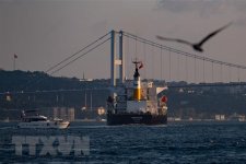 Tàu chở ngũ cốc Ukraine tiếp tục rời Biển Đen