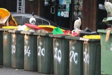 Victoria: Đầu tư vào các hệ thống tái chế chất thải hữu cơ