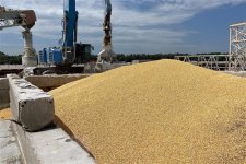 Ukraine tạm đình chỉ xuất khẩu ngũ cốc