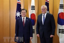 Úc - Hàn tăng cường kết nối hàng hải ở ASEAN