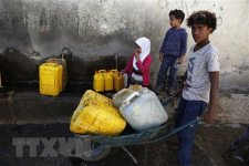 WFP cắt giảm viện trợ lương thực cho Yemen