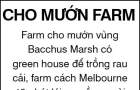 Cho muon Farm