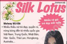 Silk Lotus