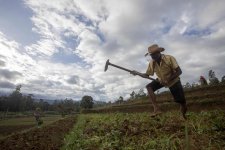 Khoảng nửa triệu người dân Sri Lanka đang trong tình trạng nghèo đói