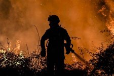 Nguy cơ Úc "kiệt sức" vì cháy rừng ngày càng nhiều