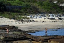 Nhiều bãi biển ở thành phố Sydney bị cảnh báo ô nhiễm sau mưa lớn