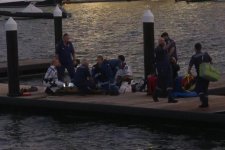 Cô gái trẻ đã bị thương nặng do bị cá mập tấn công ở cảng Sydney
