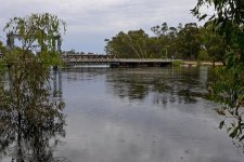 Victoria: Người đàn ông rơi xuống sông Murray River đã tử vong