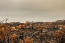 Cảnh báo Úc sẽ bùng phát cháy rừng sau La Nina