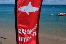 Một công dân Úc bị cá mập cắn tử vong ở Pháp