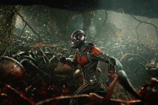 'Ant-Man 3' nhận phản hồi đối nghịch giữa khán giả và giới phê bình