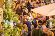 Victoria: Triển lãm Vườn và Hoa Quốc tế Melbourne trở lại rực rỡ hơn trong năm 2022