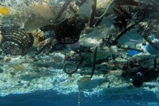 Tin Úc: Kêu gọi hành động để giảm rác thải nhựa ở các vùng biển
